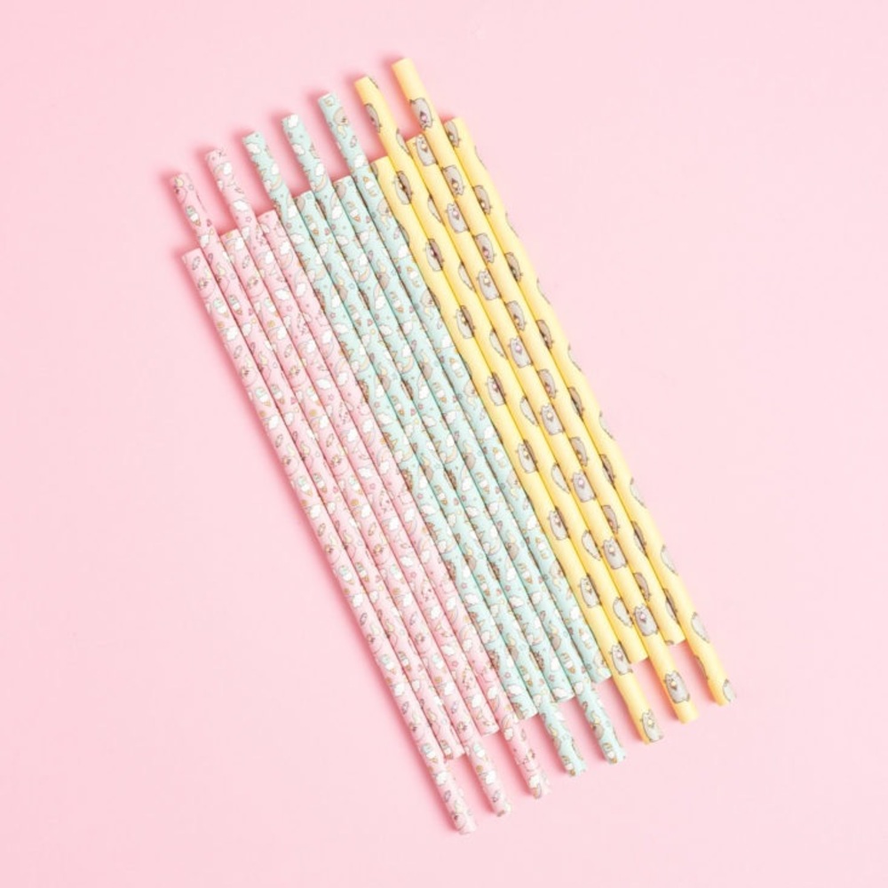 Pusheen Summer 2018 paper straws